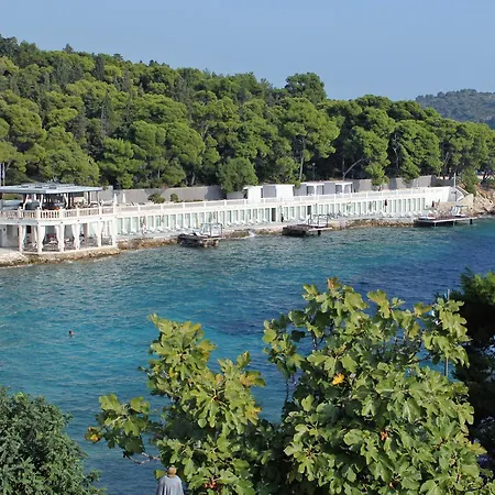 Apartment Hvar 4591b Hvar Town