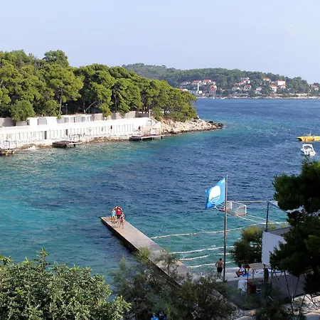 Apartment Hvar 4591b *